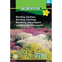 Hornum frøblanding stenhave