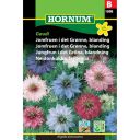 Hornum blomsterfrø Jomfruen i det Grønne, blanding