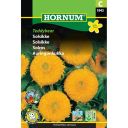 Hornum blomsterfrø Solsikke Teddybear