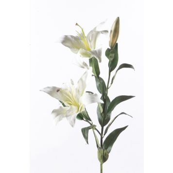 Emerald lilje hvid 95 cm