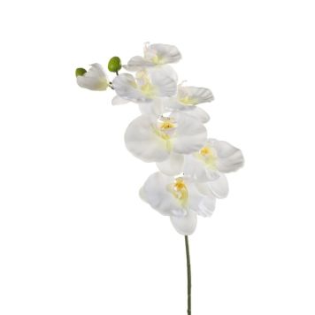Emerald orkidé hvid 80 cm