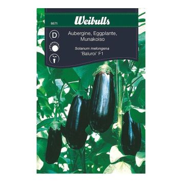Weibulls grøntsagsfrø aubergine Baluroi F1
