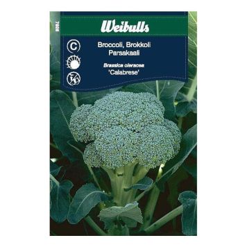 Weibulls grøntsagsfrø broccoli Calabrese
