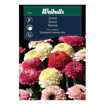 Weibulls blomsterfrø Zinnia Zinderella fashion mix 