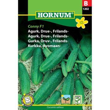 Hornum grøntsagsfrø Agurk, Drue-, Frilands- Conny F1