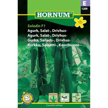 Hornum grøntsagsfrø Agurk, Salat-, Drivhus-Saladin F1