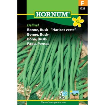 Hornum grøntsagsfrø Bønne, Busk- “Haricot verts”