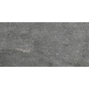 Gulv-/vægflise Wellstone Ash 30x60 cm 1,08 m²