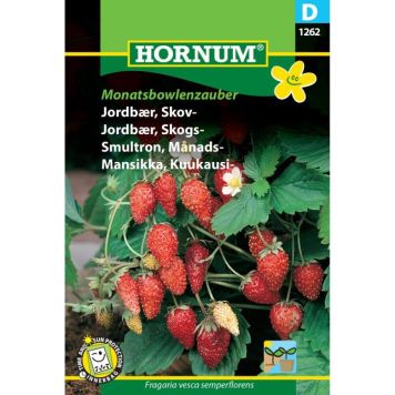 Hornum frugtfrø Jordbær, Skov-