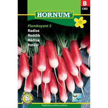 Hornum grøntsagsfrø Radise Flamboyant 3
