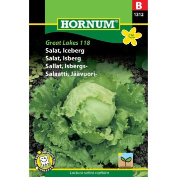 Hornum grøntsagsfrø Salat, Iceberg Great Lakes 118