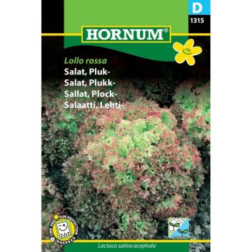 Hornum grøntsagsfrø Salat, Pluk-