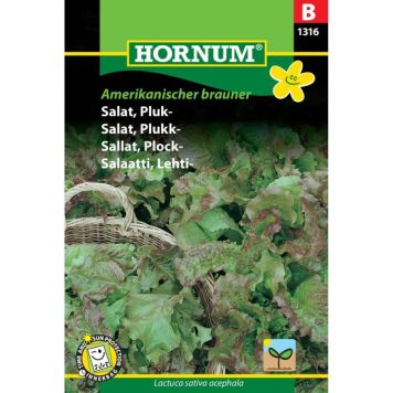 Hornum grøntsagsfrø Salat, Pluk Amerikanischer brauner