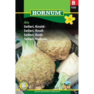 Hornum grøntsagsfrø Selleri, Knold-