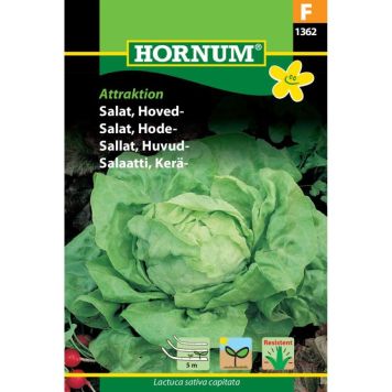 Hornum grøntsagsfrø Salat, Hoved- Attraktion