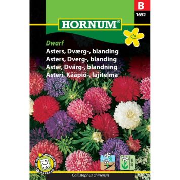 Hornum blomsterfrø Asters, Dværg-, blanding