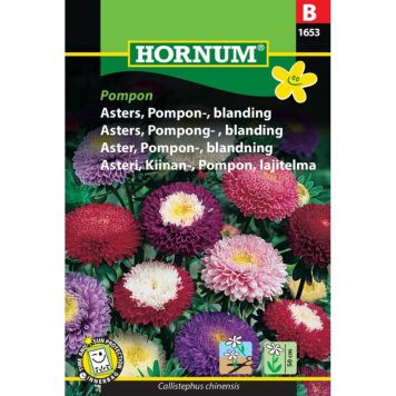 Hornum blomsterfrø Asters, Pompon-, blanding