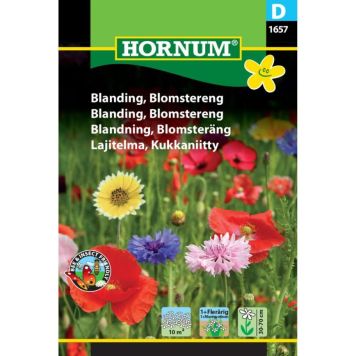 Hornum blomsterfrø Blanding, Blomstereng
