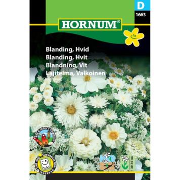 Hornum blomsterfrø Blanding, Hvid