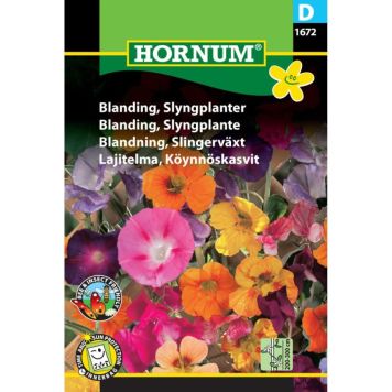 Hornum blomsterfrø Blanding, Slyngplanter