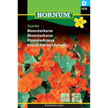 Hornum blomsterfrø Blomsterkarse Scarlet