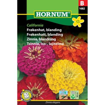 Hornum blomsterfrø Frøkenhat, blanding California
