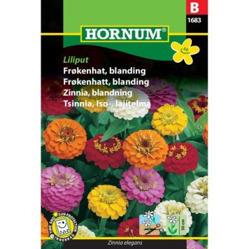 Hornum blomsterfrø Frøkenhat, blanding Liliput