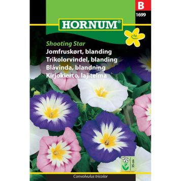Hornum blomsterfrø Jomfruskørt, blanding