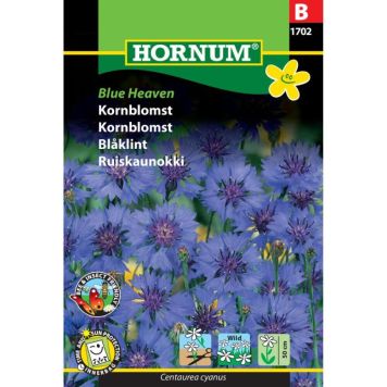 Hornum blomsterfrø Kornblomst