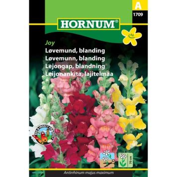 Hornum blomsterfrø Løvemund, blanding