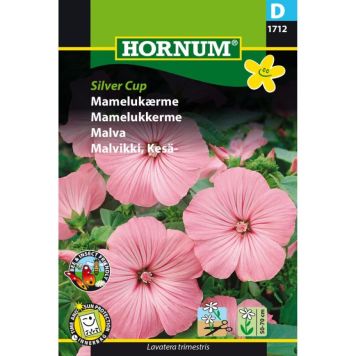 Hornum blomsterfrø Mamelukærme Silver Cup