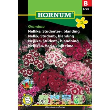Hornum blomsterfrø Nellike, Studenter-, blanding Grandma