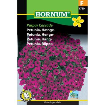 Hornum blomsterfrø Petunia, Hænge-
