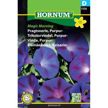 Hornum blomsterfrø Pragtsnerle, Purpur-