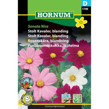 Hornum blomsterfrø Stolt Kavaler, blanding