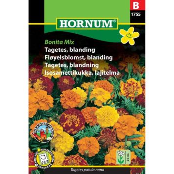 Hornum blomsterfrø Tagetes, Bonita Mix