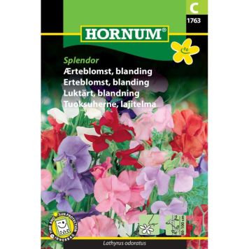 Hornum blomsterfrø Ærteblomst, blanding