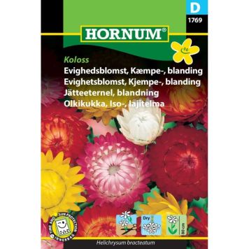 Hornum blomsterfrø Evighedsblomst, Kæmpe-, blanding