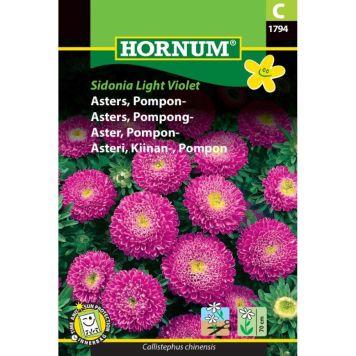 Hornum blomsterfrø Asters, Pompon-
