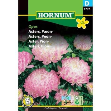 Hornum blomsterfrø Asters, Pæon-