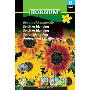 Hornum blomsterfrø Solsikke, blanding