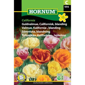 Hornum blomsterfrø Guldvalmue, Californisk, blanding