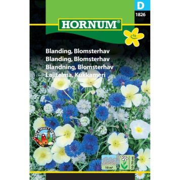 Hornum blomsterfrø Blanding, Blomsterhav