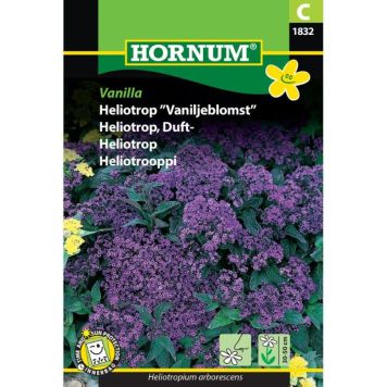 Hornum blomsterfrø Heliotrop ”Vaniljeblomst”