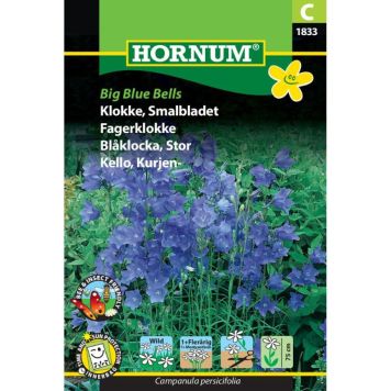 Hornum blomsterfrø Klokke, Smalbladet