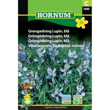 Hornum blomsterfrø Grøngødning Lupin, blå