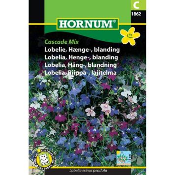 Hornum blomsterfrø Lobelie, Hænge-, blanding