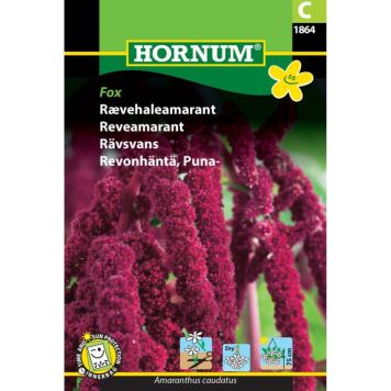 Hornum blomsterfrø Rævehaleamarant