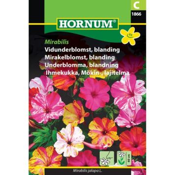 Hornum blomsterfrø Vidunderblomst, blanding