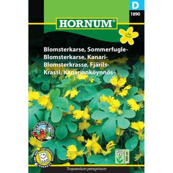 Hornum blomsterfrø sommerfugleblomsterkarse
